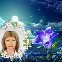 ���� ����, �������� - ��������� 14 ����� 2015 � ������ ���� ����������