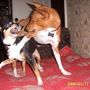 ���� ���������, ���� - ��������� 25 ������ 2015 � ������ ������� ���