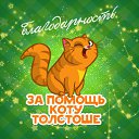 ���� ������, ��� - ��������� 7 ������ 2015 � ������ �����������