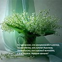 ���� �������, ��������� - ��������� 7 ����� 2015 � ������ ������ ��������