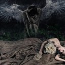 ���� �������, �������� - ��������� 31 ������� 2014 � ������ �������************�