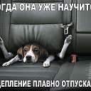 ���� L----, ������ - ��������� 24 ������ 2015 � ������ ������ ��������