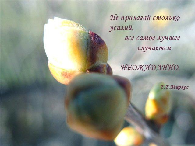 Smile - 10 ������ 2015 � 17:48