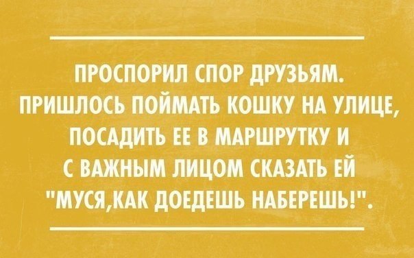  - 22  2015  14:09