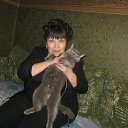 ���� ������, �����, 71 ��� - ��������� 2 ������ 2015 � ������ ���� ����������