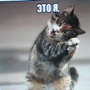 ���� �����, ������� - ��������� 21 ������ 2015 � ������ ���� ����������