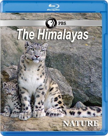 �������.(The Himalayas)������� ���������� ������ � ������������ ��������. ��� �� ��������� �������� ...