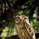 ���� �����, ����������, 40 ��� - ��������� 20 ����� 2015 � ������ ������ ��������