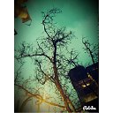 ���� �����, ����, 33 ���� - ��������� 16 ������ 2015 � ������ �Instagram�