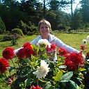 ���� ����, �����������, 52 ���� - ��������� 25 ������ 2015 � ������ ���� ����������