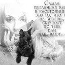���� ����������, ������ - ��������� 27 ������� 2014 � ������ ������ ��������