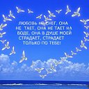 ���� ��������, �����-���������, 63 ���� - ��������� 13 ����� 2015 � ������ ������ ��������