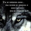 ���� Rok76i, �����-���������, 49 ��� - ��������� 24 ������� 2014 � ������ �������