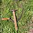 ������ �����, ����� ���� - ��� ��� ��������� ����... ������ ��� , � ������ ��� , ��� ����� �������� 