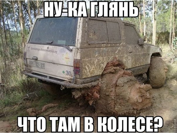 ������������ ���� - 4 ����� 2015 � 11:53