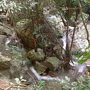 ��� ������������ �� ����� �������� ���������, ������ �� ����� � ������ ��� �������? 
����� �����: http://dengidomoy.ru/cent/ �� ������� ����