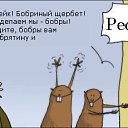  , , 48  -  23  2015      Ȼ