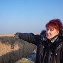 ���� ��������, �����������, 52 ���� - ��������� 18 ������� 2015 � ������ ���� ����������