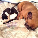  , -, 53  -  19  2015    