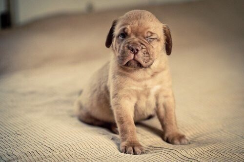 � ���� ������-������, � �� ��� ���� ���� �� ������� :3