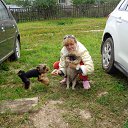 ���� ��������, ������, 66 ��� - ��������� 10 ����� 2015