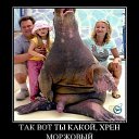 ���� �, ������������ - ��������� 5 ������� 2015 � ������ ���� ����������