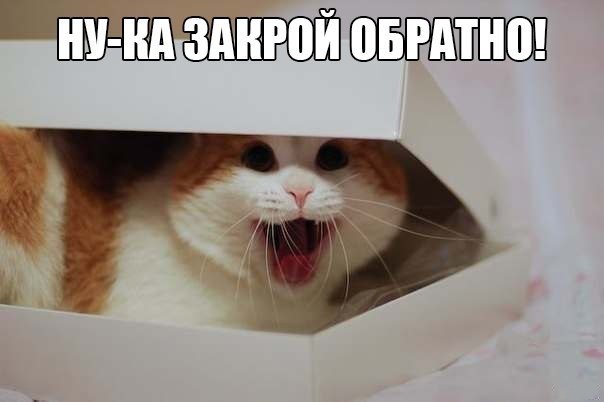  -  - 15  2015  07:26