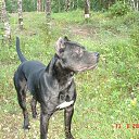 ���� �������, ���� - ��������� 31 ������� 2014 � ������ ������ ��������