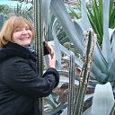 ���� �������, ����, 70 ��� - ��������� 7 ������ 2015 � ������ ���� ����������