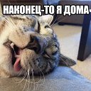 ���� ��������, ������ ����� - ��������� 12 ������ 2015 � ������ ���� ����������