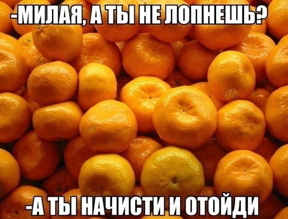 ����� � ����� | ������ ������� - 14 ������� 2014 � 20:42