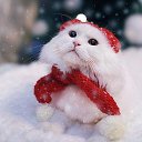 ����������!!! �� ������� ���� ����������