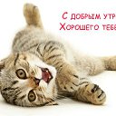 ���� �������, �������, 67 ��� - ��������� 17 ����� 2015 � ������ �������� ��������