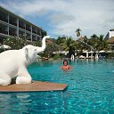 ���� ������, ������, 67 ��� - ��������� 12 ������� 2015