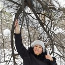 ���� ���������, �������� - ��������� 14 ����� 2015 � ������ ���� ����������