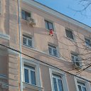 ���� ��� �����, ���� �������� �� ������� ���� ����������