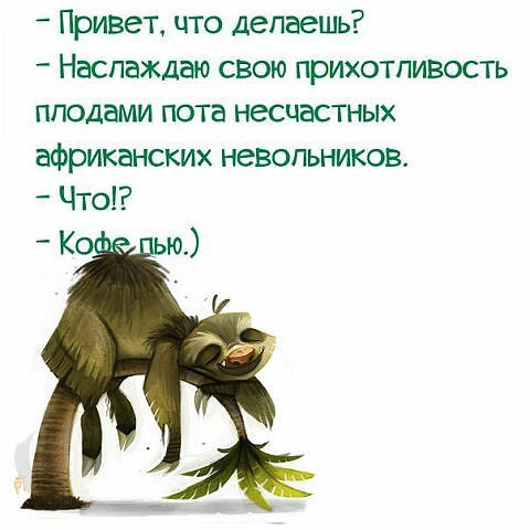 ������ - 2 ������ 2015 � 12:26