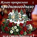 ���� �������, �����-���������, 54 ���� - ��������� 23 ������� 2014 � ������ ������ ��������
