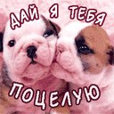 ���� ������, ����, 53 ���� - ��������� 2 ����� 2015 � ������ ���� ����������