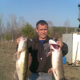 �������, �����������, 51 ���