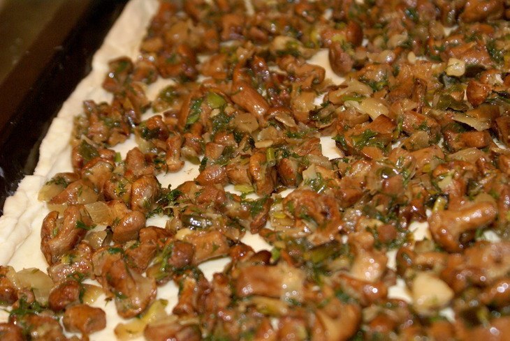     . :  100   100    0,5 . .  ... - 5