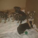 ���� �����, ��������� - ��������� 23 ������ 2015 � ������ ���� ����������