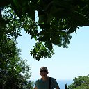 ���� ������, �����������, 44 ���� - ��������� 13 ������ 2015 � ������ ���� ����������