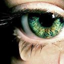 ���� ���������, �����-��������� - ��������� 27 ������ 2015 � ������ ������ ��������