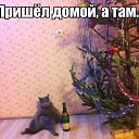 ���� ���������, ������-�������, 37 ��� - ��������� 23 ������� 2014
