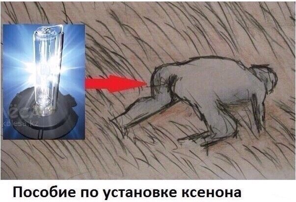   [|] - 14  2015  13:26
