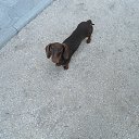 ���� ������� - �� ��������!, �������� - ��������� 19 ������ 2015 � ������ �����������