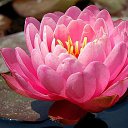 ���� ����, ���������� - ��������� 24 ������� 2014 � ������ ������ ��������