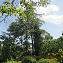 ���� ����, ������, 40 ��� - ��������� 9 ������ 2015 � ������ ���� ����������