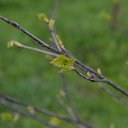 ���� ����, �������, 66 ��� - ��������� 22 ������ 2015 � ������ ������ 2015�